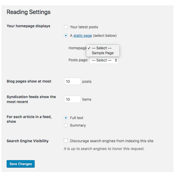 wordpress settings