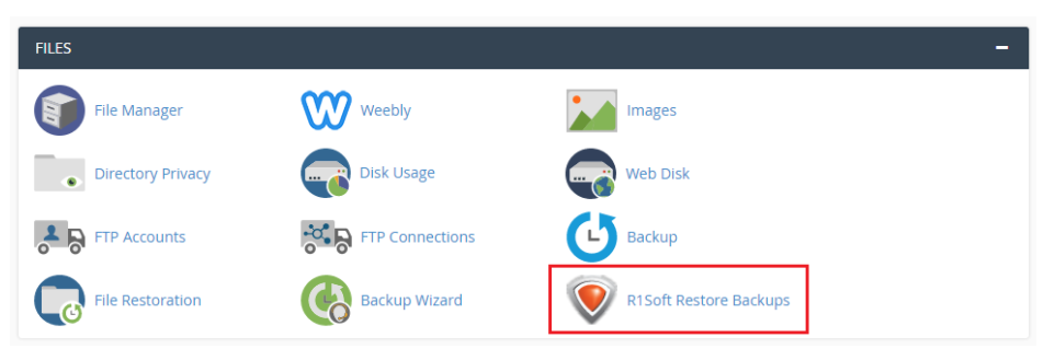 cPanel R1Soft Restore backup