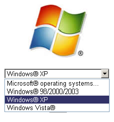 Windows XP environment